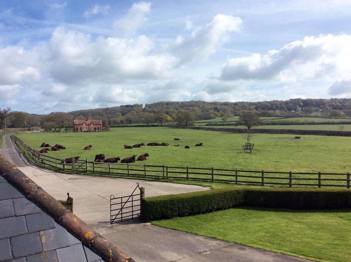 Moors Farmhouse Bed & Breakfast East Knoyle Dış mekan fotoğraf